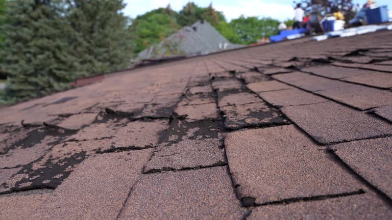 Best Wood Shake Roofing  in Bowling Green, VA