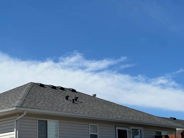 Fast & Reliable Emergency Roof Repairs in Bowling Green, VA